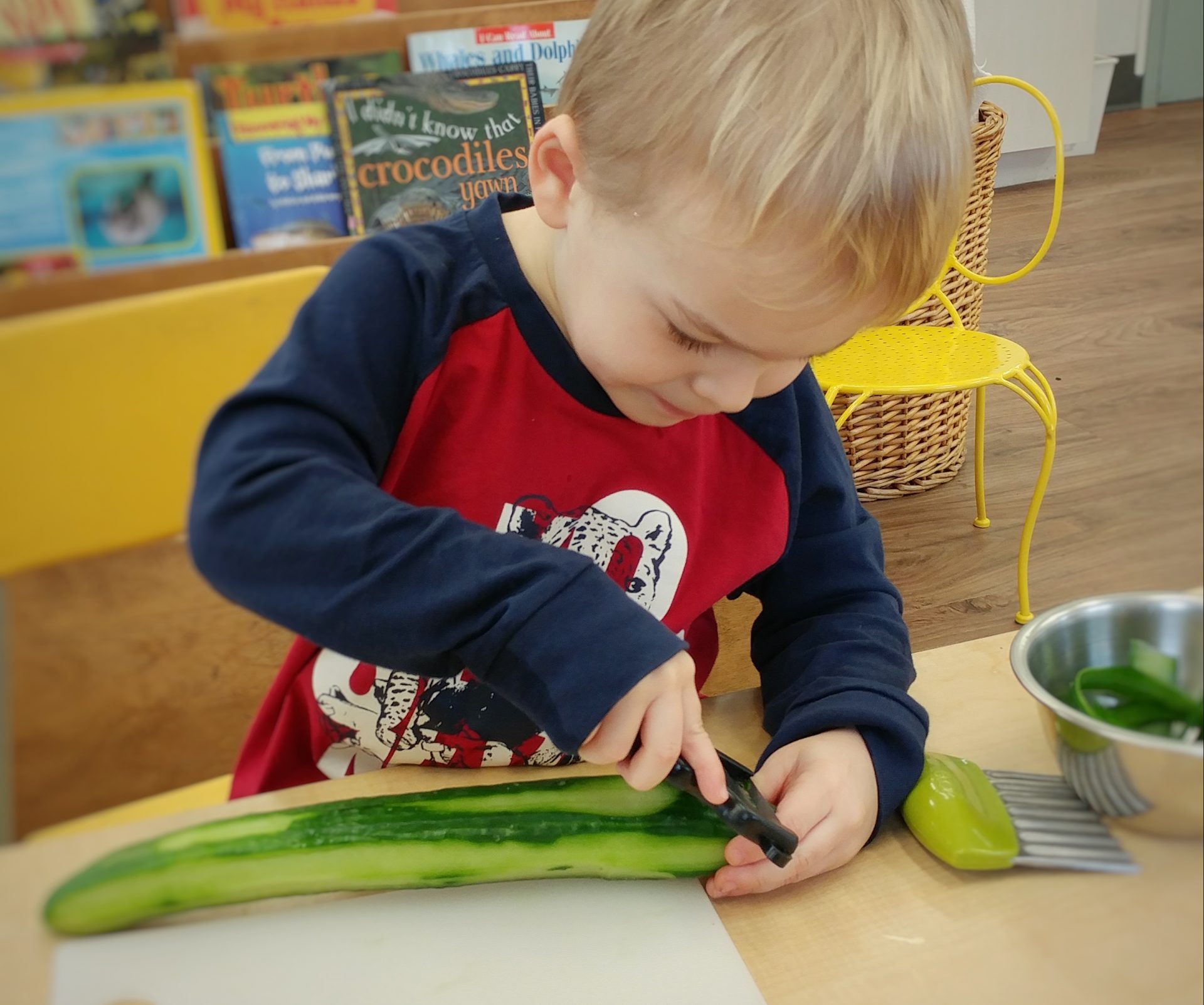 cucumber - Waterdown Montessori School